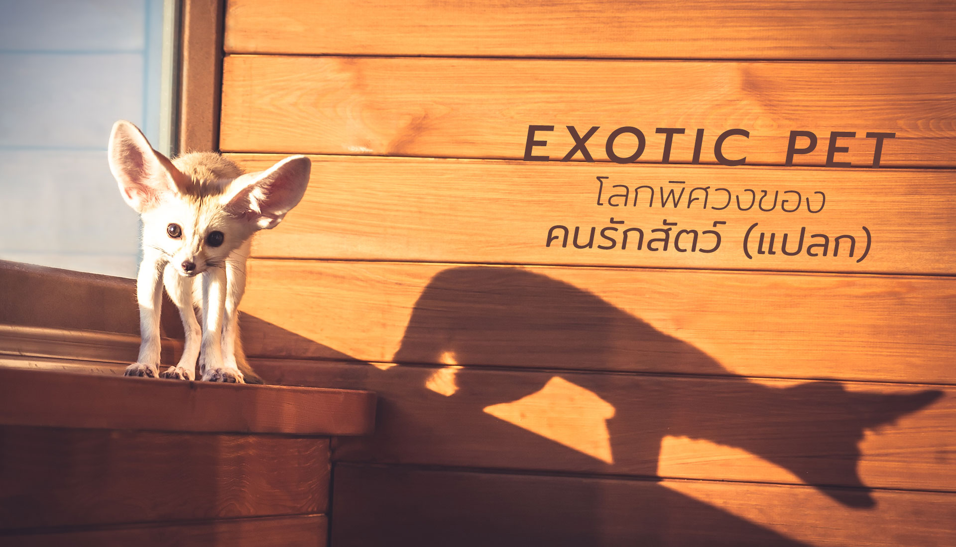 Exotic Pet