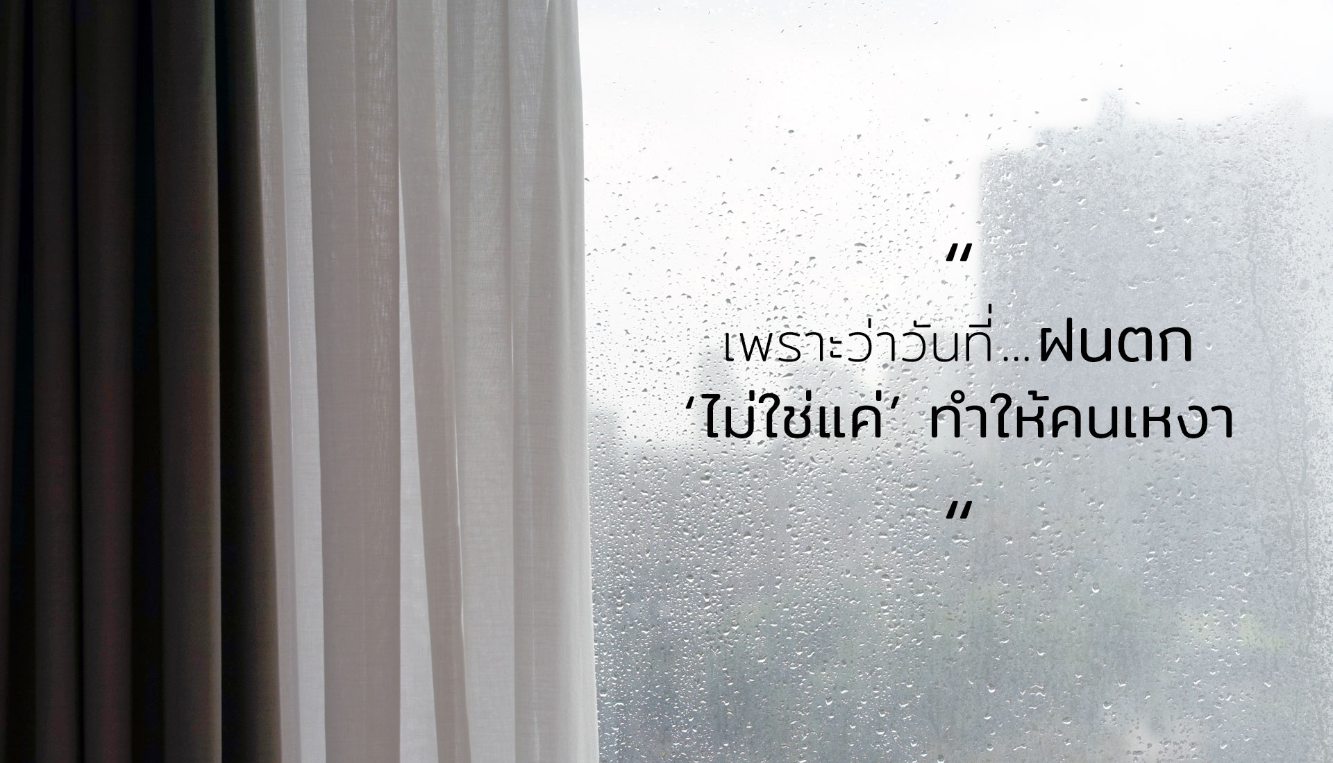 วันที่ฝนตก