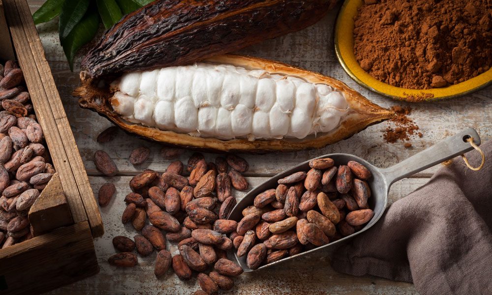 Cacao