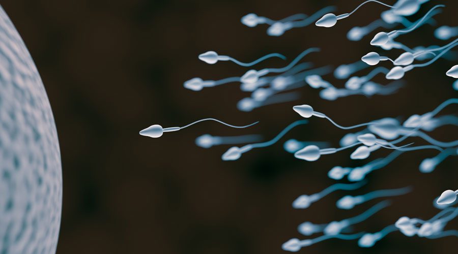 Sperm