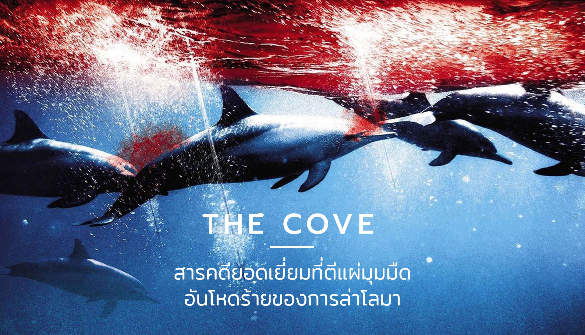 สารคดีการล่าโลมา