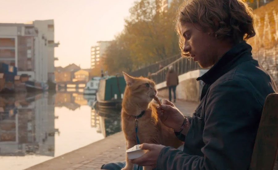 A Street Cat Named Bob