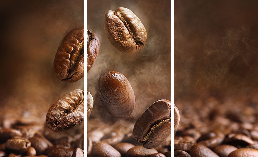 Arabica