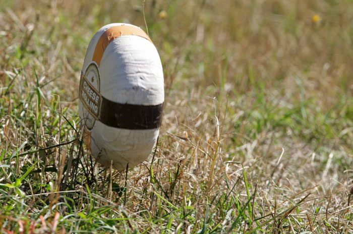 Cheese Rolling