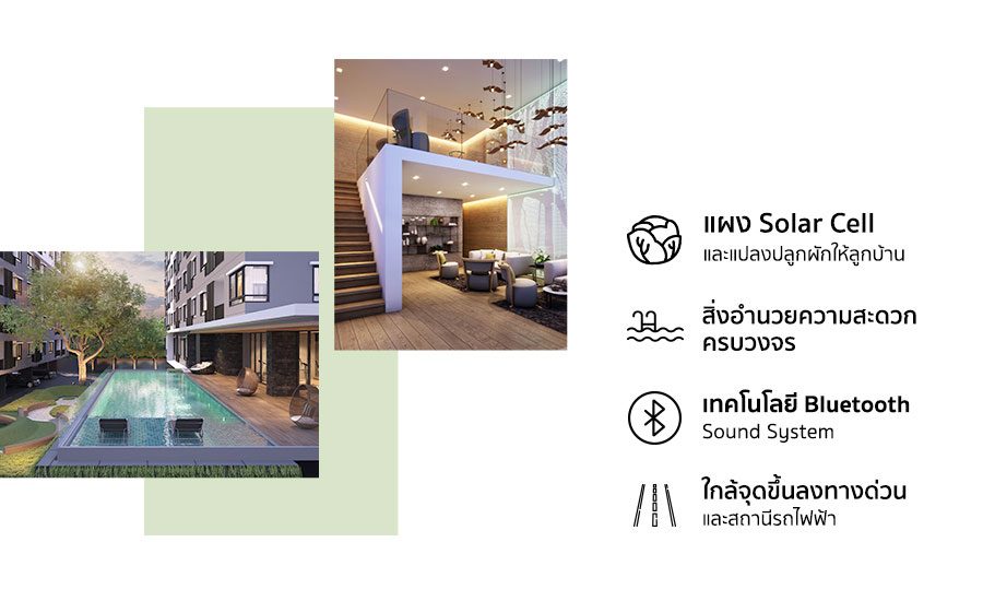 info-wynn