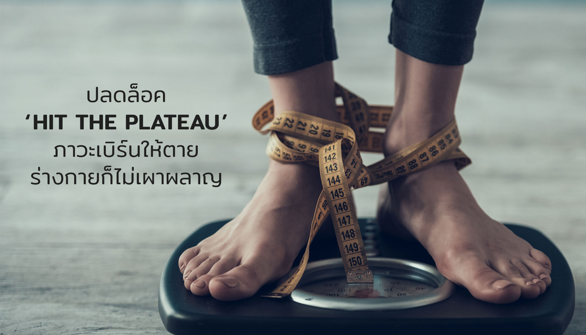 Hit The Plateau