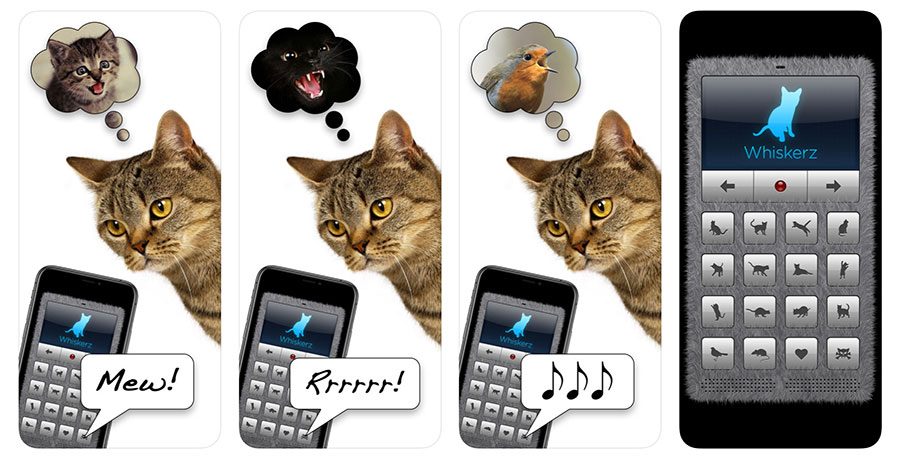 Human to Cat Translator
