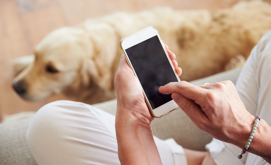 Pet App