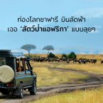 สัตว์ป่าแอฟริกา