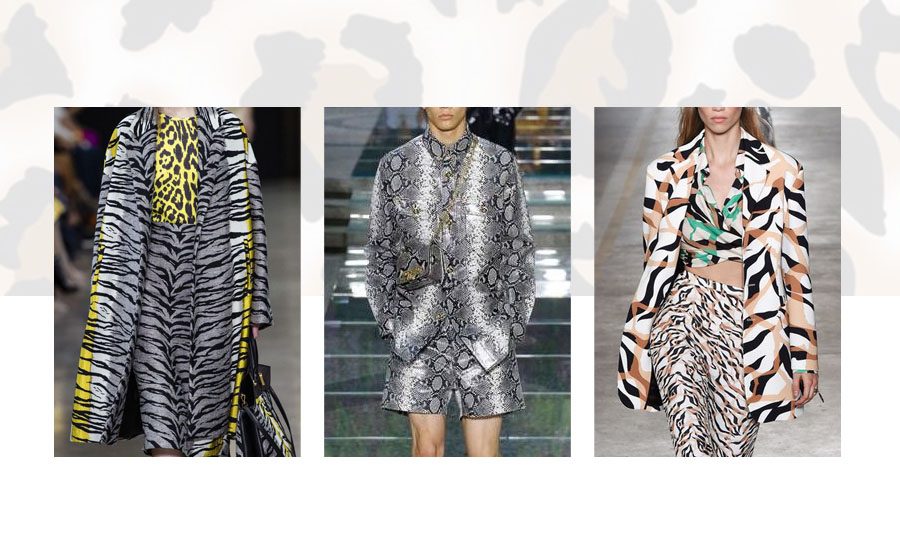 Animal Print