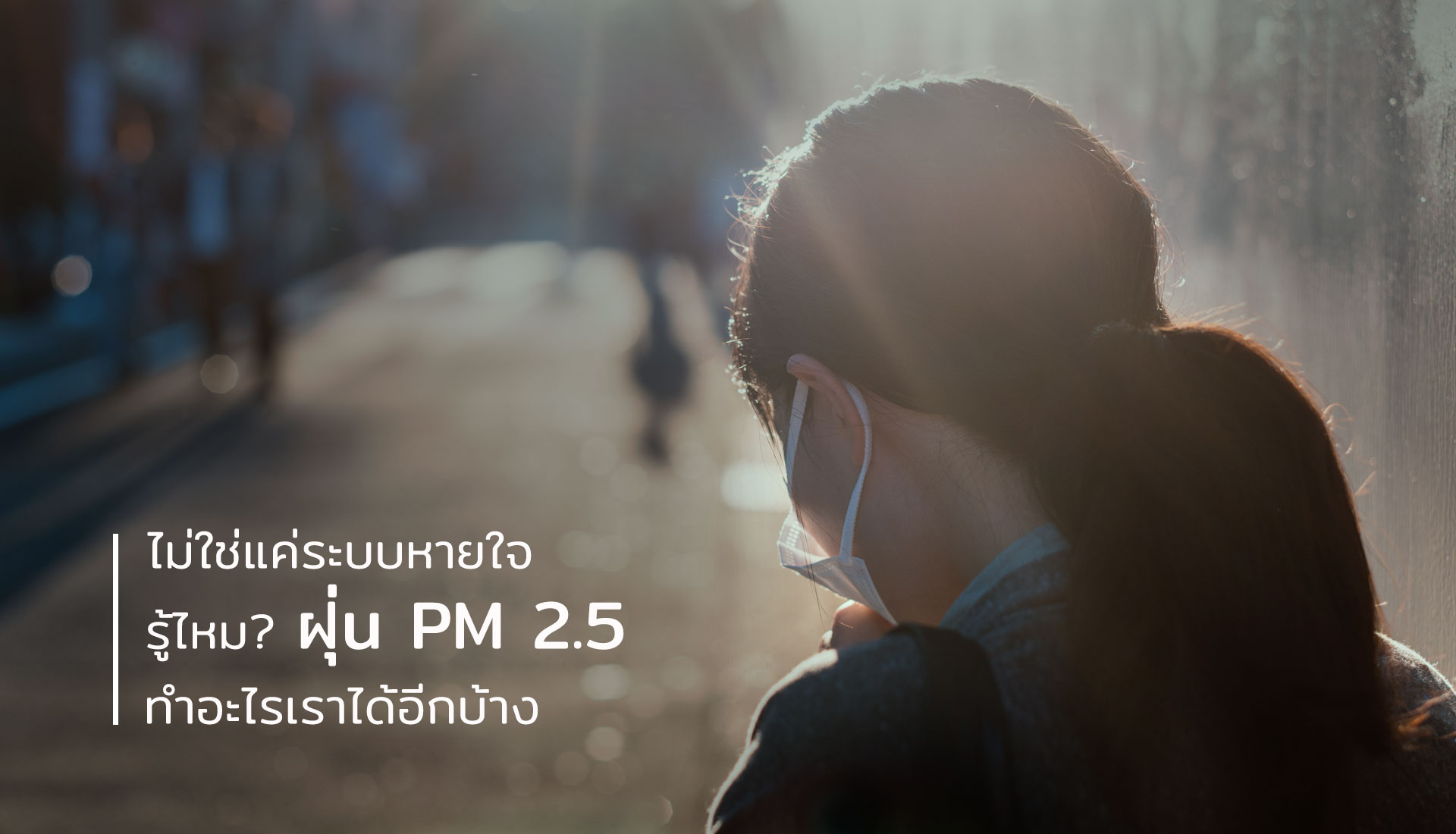 ฝุ่น PM 2.5
