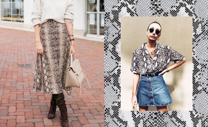Snakeskin Print
