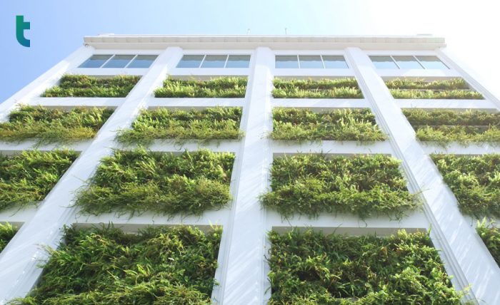 Vertical Garden
